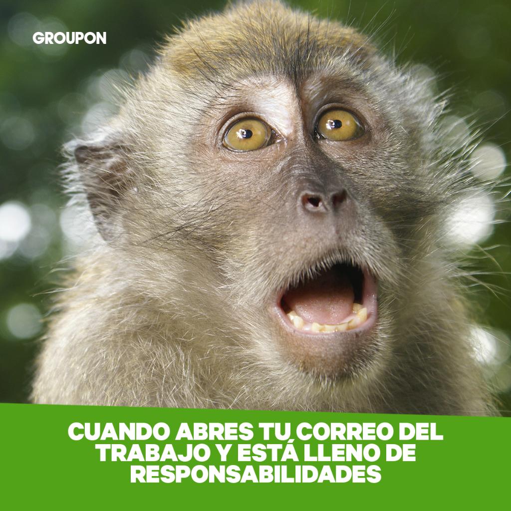 ¿Qué tal llevas el lunes?
¿Abrumado con tanto trabajo?
Mejor, déjate sorprender con todas las experiencias que Groupon tiene para ti.
😱😱
gr.pn/2Y8C0x8