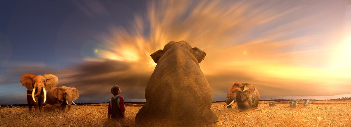 Ramblings tweet media