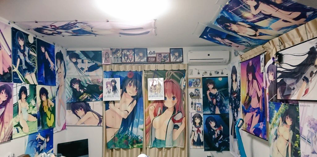 オタク同士が結婚した結果ｗｗｗこれは期待通りの部屋ｗｗｗ