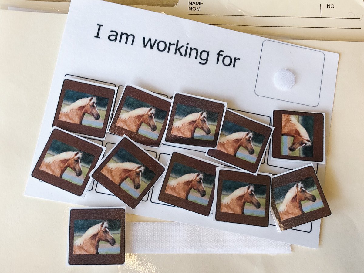 JessicaORegan2's tweet photo. Personalized token boards based on student interest and motivators. My students see themselves reflected in their rewards and it means more to them. #positivereinforcement #visualsupports #ABA @SpecialEd_TVDSB @WestminsterCent https://t.co/GHofb42vS0