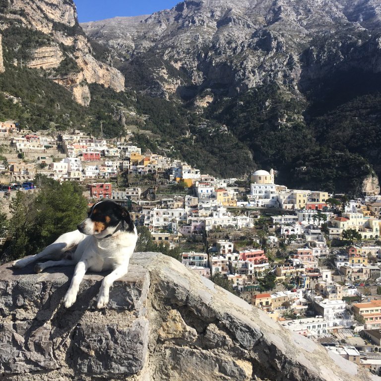 ChampAdmissions's tweet photo. Over Spring Break, students in the Mediterranean Markets course traveled to Italy. "Our class only had 10 students in it, so we grew super close during the trip. A lot of the best moments had to do with all of us coming together." -Jess Taylor '21 (Photos by Jess Taylor) https://t.co/gyJcjj4ILO