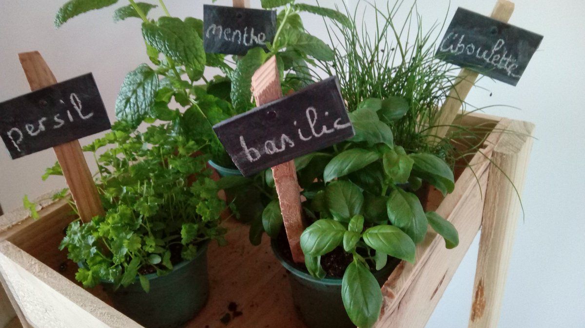 GreenMgz's tweet photo. Un petit aperçu de notre jardin éducatif.
#Mongazon #EPA #minientreprise https://t.co/SgrKHsxCYf