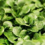 EvaMagazine1's tweet photo. Ne avrai almeno una decina già nel frigo 👉
https://t.co/Afl4nSUCEf https://t.co/Pq4u98vz4y