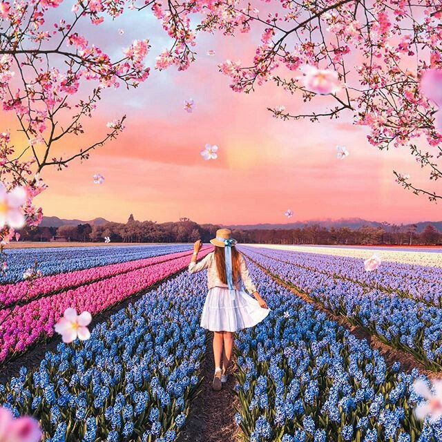 Good afternoon, Twitter friends.🌷☕️🤗