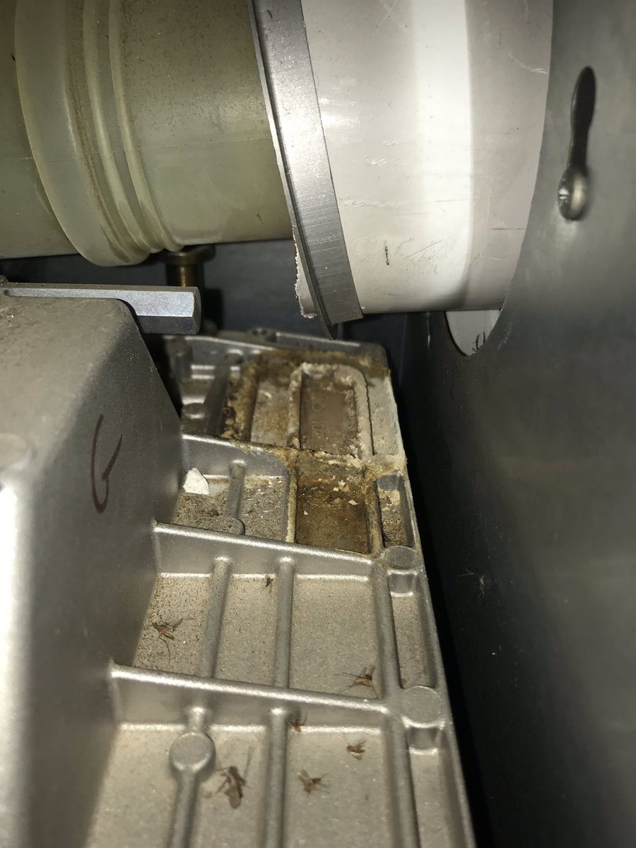 Franco porco tweet media