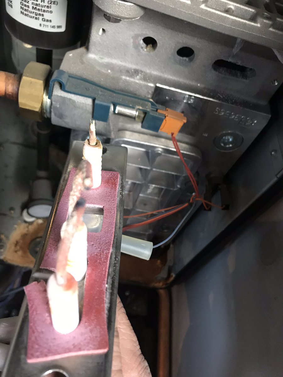 Franco porco tweet media