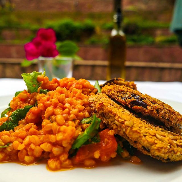 demetria_resto's tweet photo. Milanesitas de #berenjena y semillas con #risotto de trigo tomate olivas y rúcula.
#dondecomer #almuerzo #quecomerhoy #argentina #restaurantes #restaurantesbuenosaires #restaurantescordoba https://t.co/TU5rjR0evL
