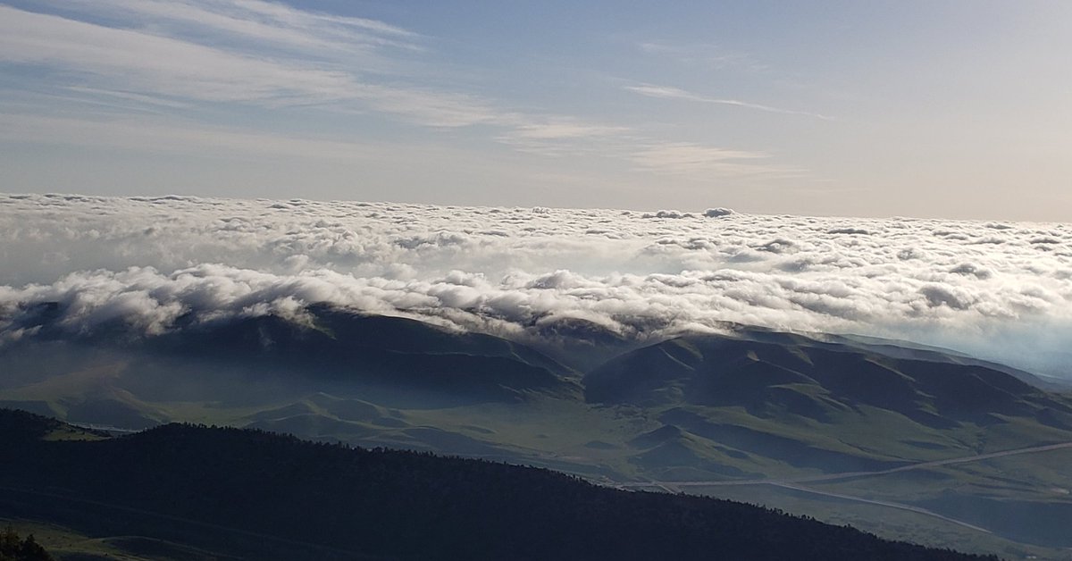BFish100's tweet photo. Monday morning on #mtmorrison
#abovetheclouds #Denver is down there somewhere. #trailrunning #coloRADo #livingthedream https://t.co/n2uoxXalHH