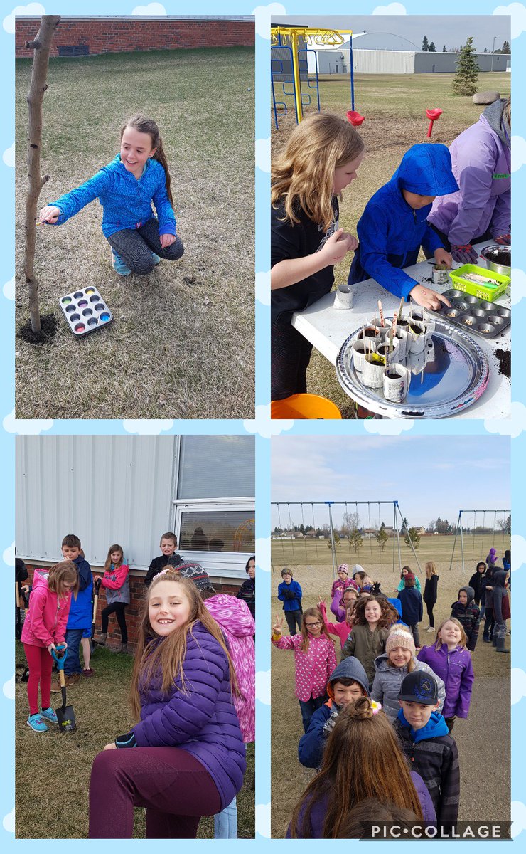 MadameVC's tweet photo. Busy at work outdoors this morning! @EJSMSchool @EverActiveAB https://t.co/uhBgxJe2uz