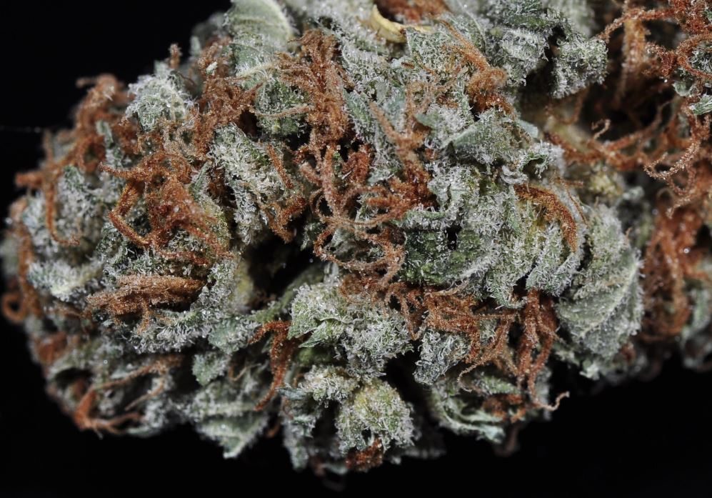mypotguide's tweet photo. #StrainoftheDay: Bubba OG, an indica-dominant hybrid strain! https://t.co/K5WiODQHoK #BubbaOG 💚🌱 https://t.co/XfTMAjaNu5