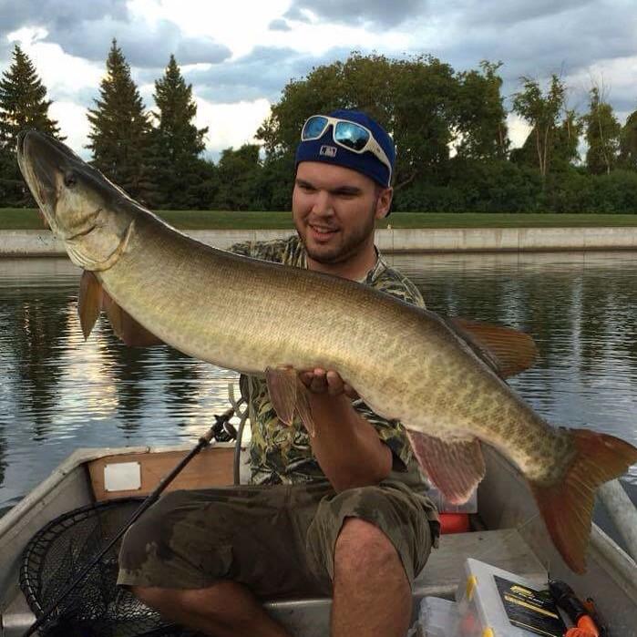 anglersatlas's tweet photo. Nice muskie from member thefishingnutt on the Rideau River! #rideauriver #muskie #fishing #anglersatlas #mycatch https://t.co/VoEaHuUXdv