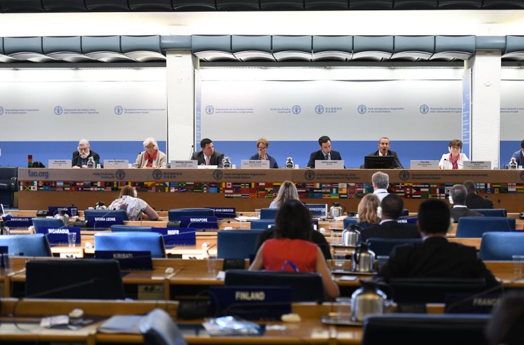 FAOWHOCodex's tweet photo. 👨💻 | A dedicated new section on the #Codex website, now highlights activities of Observers. In addition to front-page news articles and features, information on how to apply for observer status and details of all current Observers is available.
➡️ https://t.co/eMcoLe1P7S https://t.co/EhChsH4Tuv
