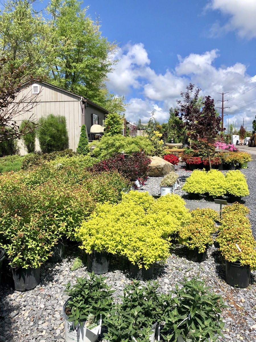 blacklandscape's tweet photo. It’s a gorgeous day today at our #LandscapeCenter!! https://t.co/Rn9UxGYYmv