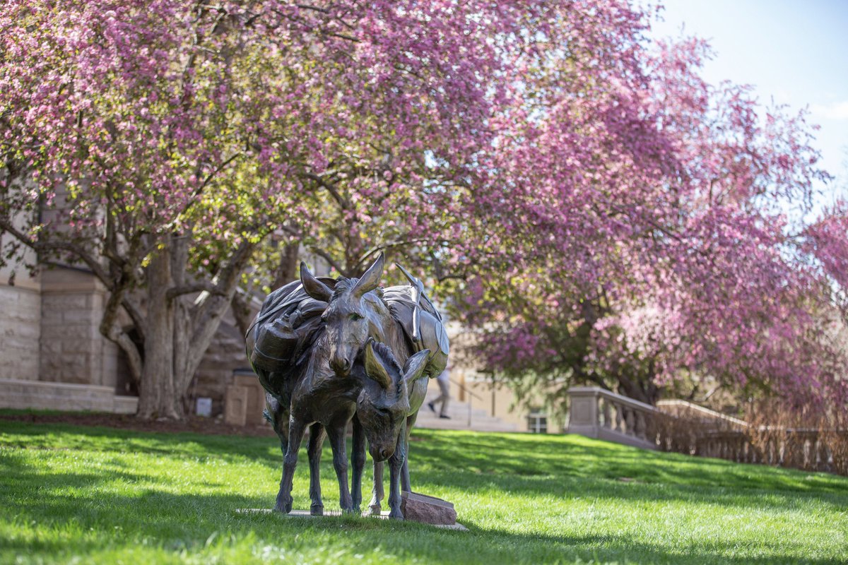 #Spring at Colorado School of Mines 🌱