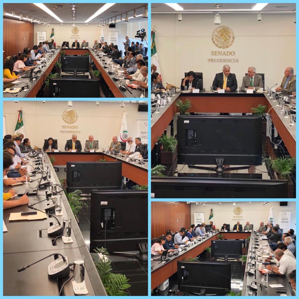 NoticiaCongreso's tweet photo. #HoyEnElCongreso 📸 En el @senadomexicano, se realiza la Sesión del Comité Permanente de Control y Seguimiento de la Procuraduría Agraria #Copecose
Sigue la transmisión #EnVivo por #Streaming en el portal del @CanalCongreso
🌐https://t.co/59qwGHH4GE
🗓️06/05/19 https://t.co/Loc6vJIWkm