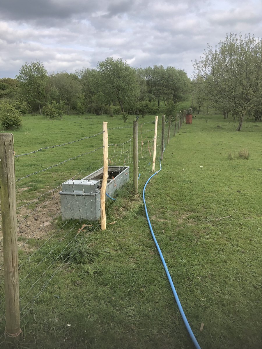 Ighthamlamb's tweet photo. Patching fences all day #chestnut #chestnutposts #kent https://t.co/yGDrijEEuW