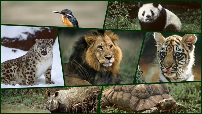 View image on Twitter