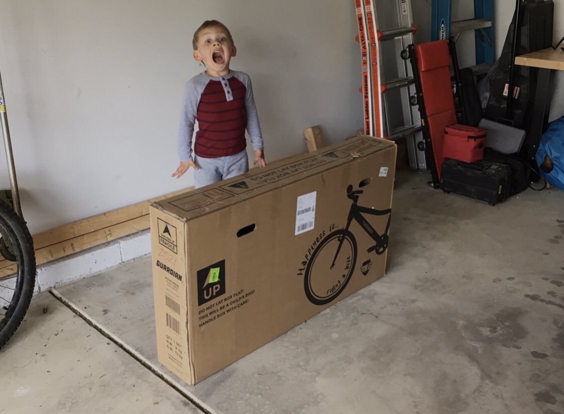 guardian bikes amazon