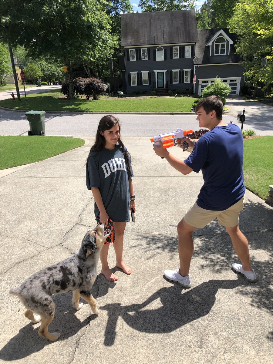 gods_cook's tweet photo. Can I have my guns back now? 3v5 @joyriders123 @PcNerf https://t.co/y16TTdVaxY