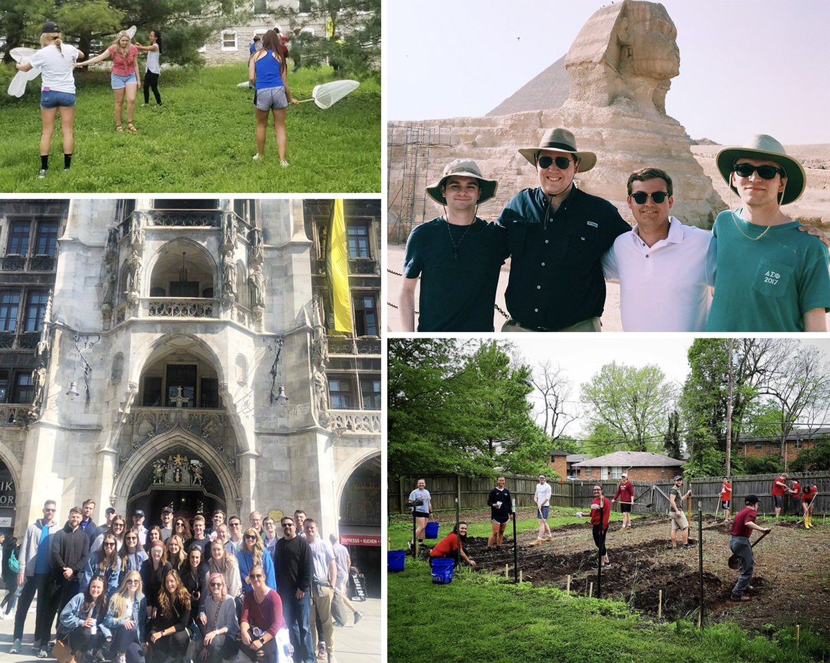 From entomology to Egyptology, May term is in full swing. A few of this term's classes include International Accounting and Operations Management in Germany; Journey through the Bible in Egypt, Israel and Jordan; and The Garden of Transylvania. Share your experiences: #TUMayTerm.