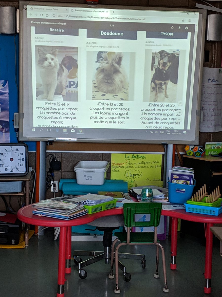 Situation mathématique ce matin ! Les élèves doivent compter la quantité de croquettes à donner pour les deux repas de ces trois animaux de la <a href="/SPAdeQuebec/">SPA de Québec</a> ! Une belle façon de discuter de l'importance de ce travail ! ❤️ #mathpourvrai #spa #enseignerautrement