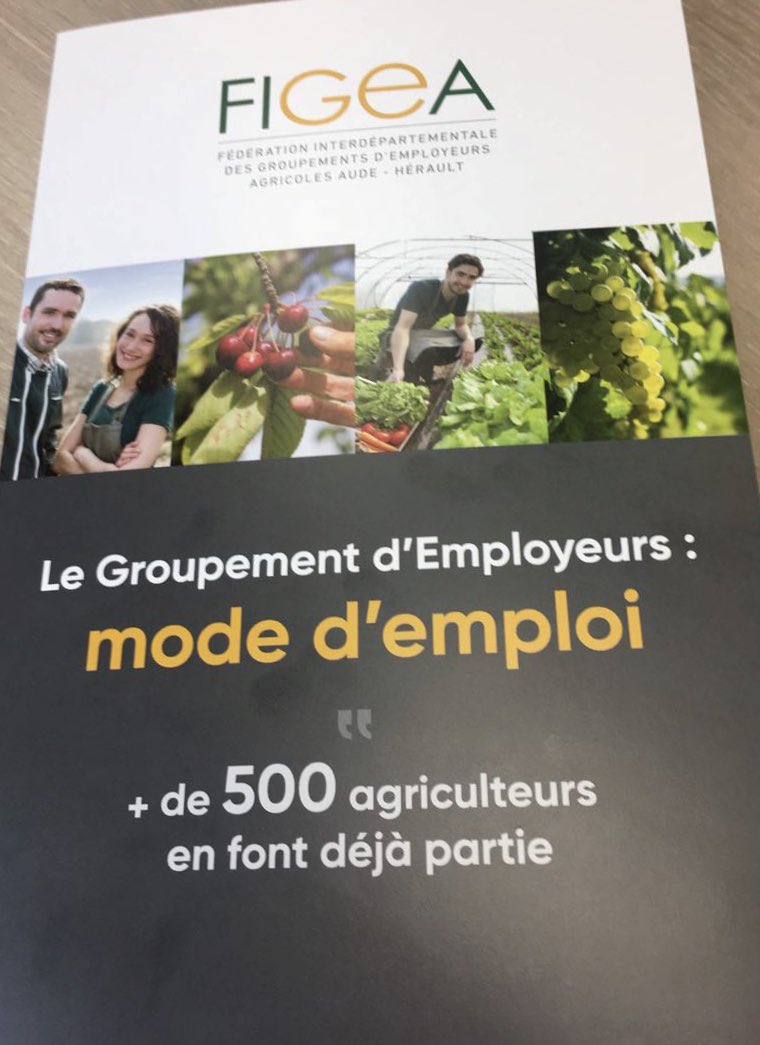 PhilippeHuppe's tweet photo. 👨🌾Les groupements d’employeurs agricoles favorisent le travail dans les campagnes et promeuvent la formation interne ! #FIGEA œuvre sur le 34, 11 et 66 !
@RomainGrau @PereaAlain @EnMarcheHerault @OliveGaillard30 @dguillaume26 @JeromeDespey @FDSEA34 @FD_Aude https://t.co/EV1j0i6UKk