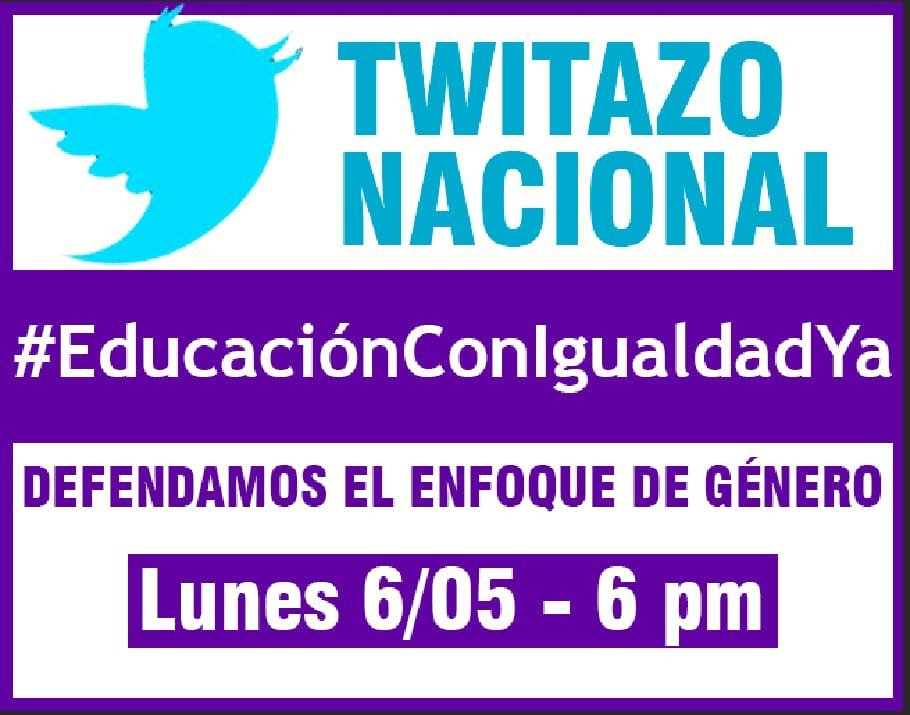 ONG CEPESJU tweet media