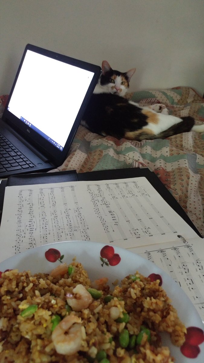 crgb1234's tweet image. My version of a "working lunch" 😂 #mutitasking and #adulting at its finest 🤭💚