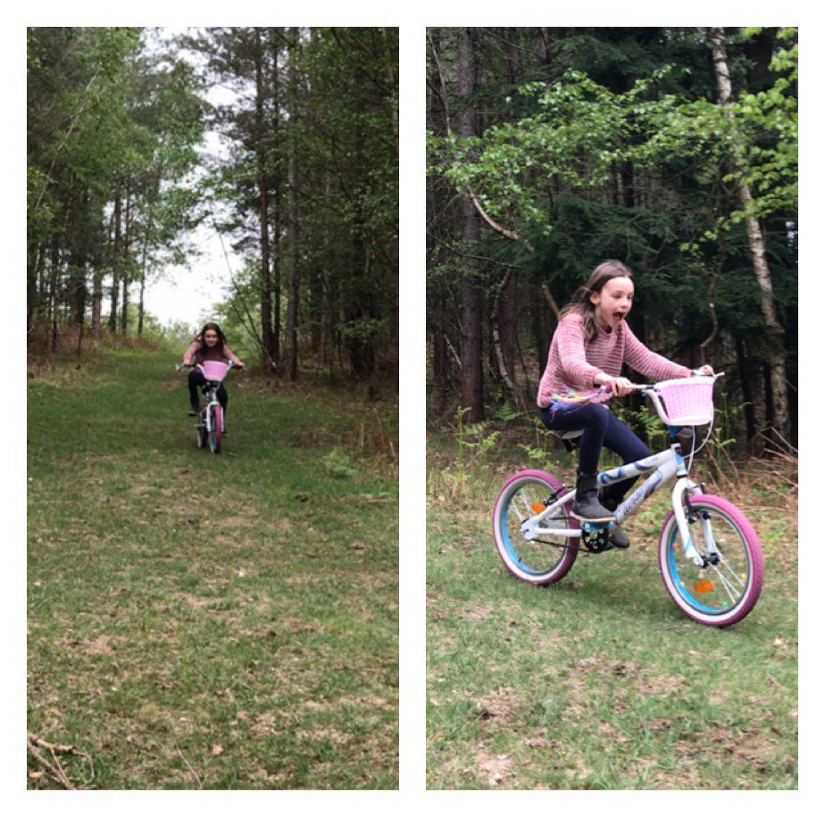vegascurts's tweet photo. Cannot beat finding a random hill in the forest and saying yes letβs do this ! #Nofear #Aagghhhhh. πππππππ€·ββοΈπ€·ββοΈ https://t.co/Wm4RCrVo1N