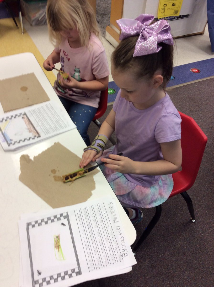 MrsMSams's tweet photo. Insect Day #6: Ants
-constructing ants
-opinion writing (Would you step on the ant?)
-learning how to make ants on a log (How- To Story)
What a day of tiny discoveries! https://t.co/eMlLDnNrDv