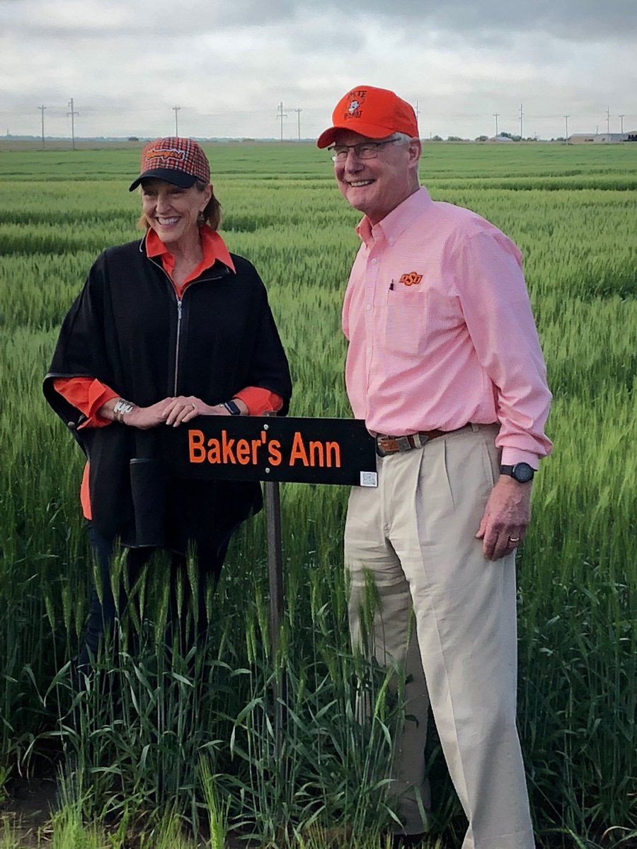 okstate_agVP's tweet photo. Great day to celebrate OSU Wheat Improvement Team and their latest variety release, Bakers Ann, named for First Cowgirl, Ann Hargis @OSUFirstCowgirl . #strength, #stamina, #sophistication https://t.co/VGOIQ1hpsE