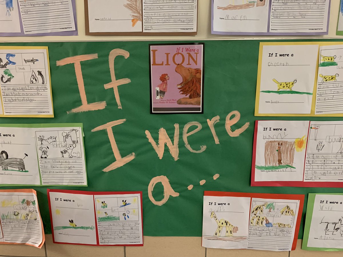 AkronElem's tweet photo. Thanks Sarah Weeks for visiting Akron.  The students read lots of books and made displays for your visit! @GoMounts #sarahweeks https://t.co/XFKw9RqI3B