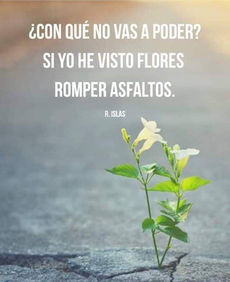 falcon8822's tweet photo. #FelizLunes Rompe límites, rompe creencias, rompe paradigmas, rompe tradiciones, rompe ideologías retrógradas, rompe lo que tengas que romper... *Sí puedes* #FalconTeam by @falcon8822 https://t.co/ac1D0ScNDT