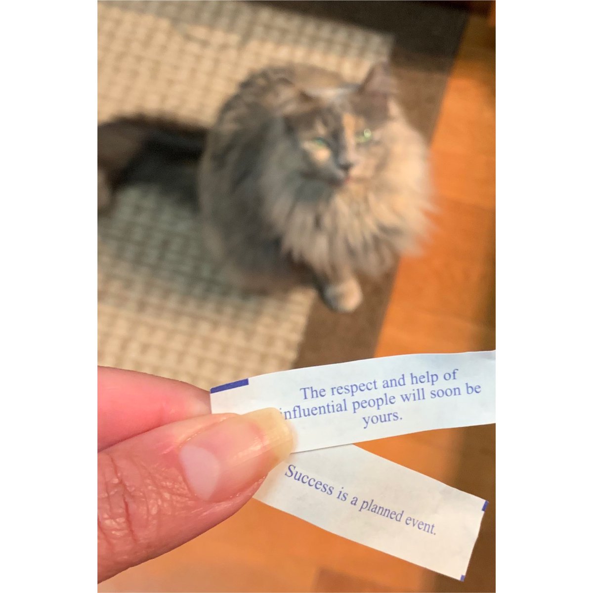 pattyemiller32's tweet image. Chinese food last night got me like 🥰 #ibelieveit