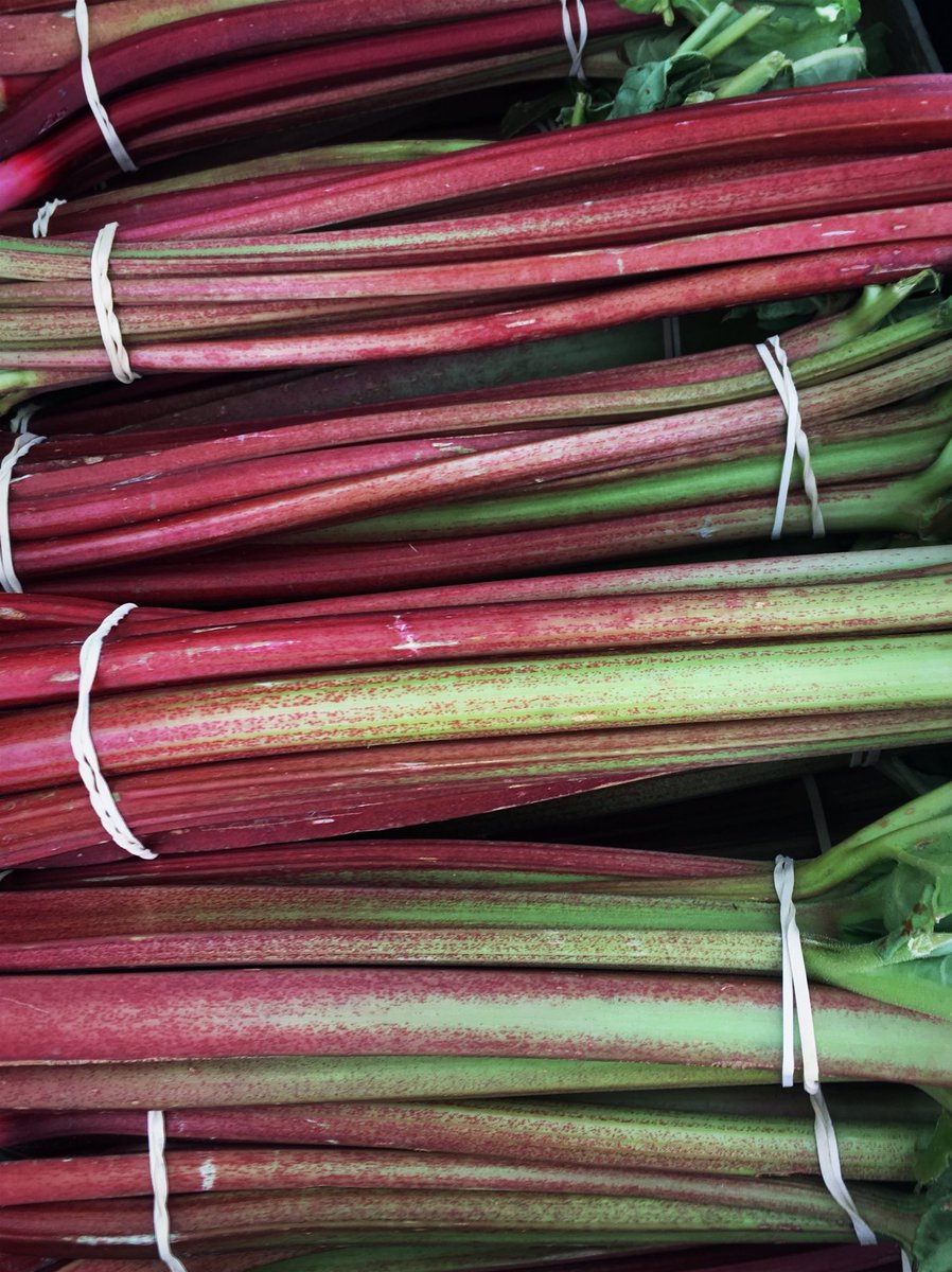 Fresh new season rhubarb from Sopley Farm #rhubarbgin #seasonal #local