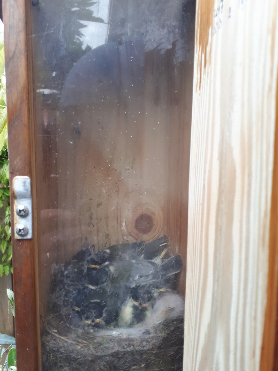 Ze houden elkaar lekker warm.