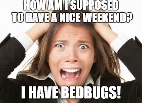 SmithRents's tweet photo. RT @surethingpests: RT @KnowBedBugs: RT @Extreme_Heat_PC: Don't let bedbugs ruin another weekend. #GetExtreme instead! Extreme Heat Pest Control 100% High Heat - ZERO chemicals Delmarva's Bedbug Solution! #MondayMotivation #sleep https://t.co/wIq92GEQ2C #surecure