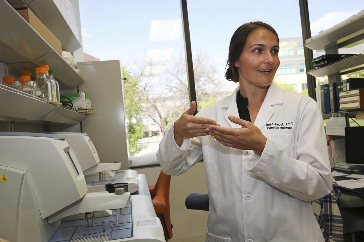 UTHealthSA's tweet photo. UT Health San Antonio researchers are using fruit flies to test whether a drug that’s been approved for HIV and hepatitis B could be used to prevent Alzheimer's disease: https://t.co/wgk938oKnU https://t.co/TVvS38Kvkg