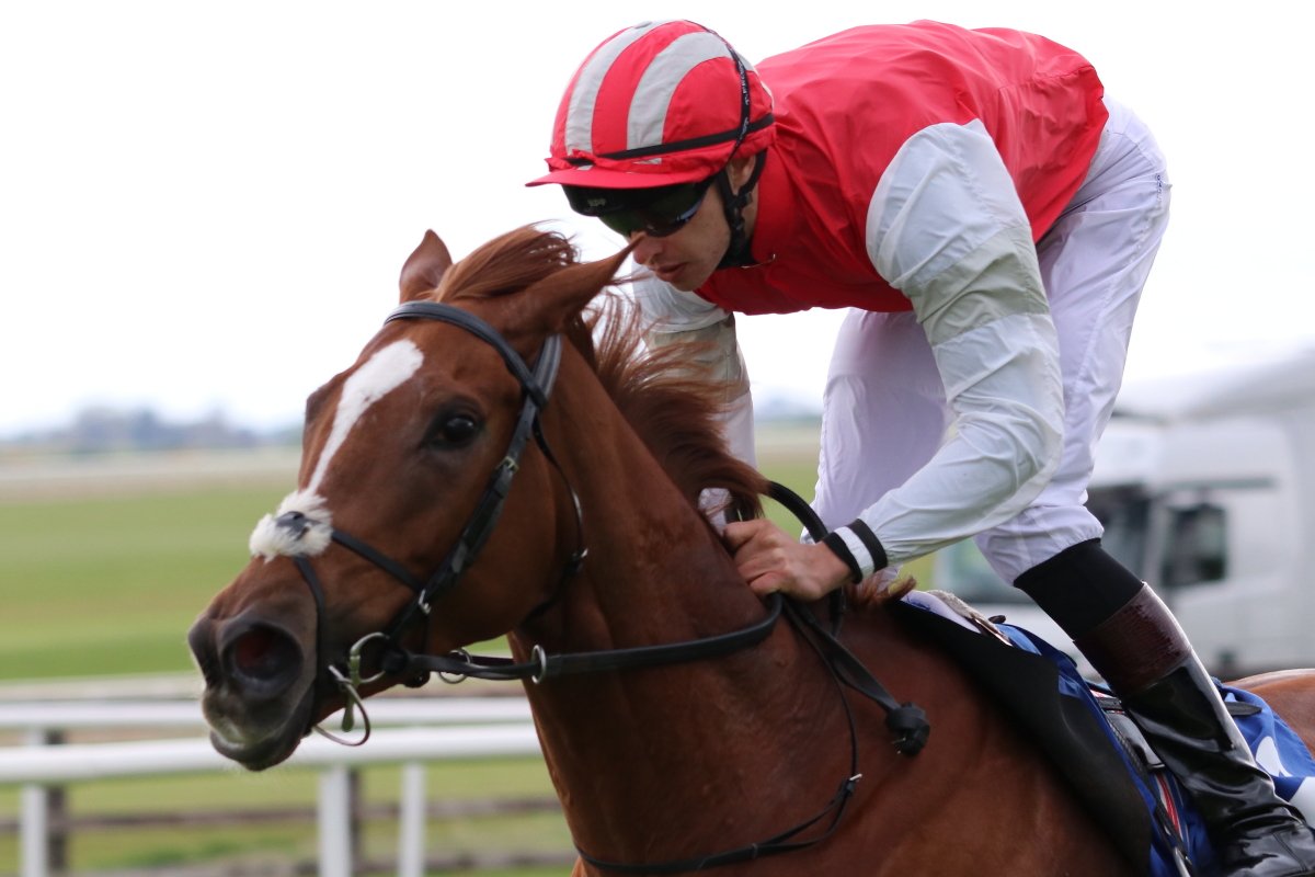 Red Tea <a href="/JosephOBrien2/">Joseph O'Brien</a> wins the concluding race <a href="/curraghrace/">The Curragh Racecourse</a> with <a href="/donnacha_obrien/">@dobbrien</a>