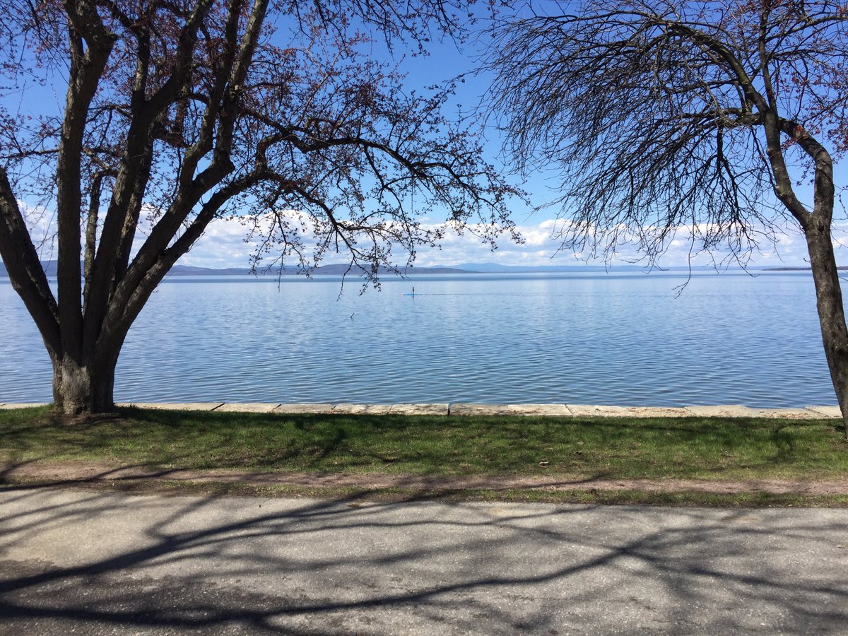Weekend_Willie's tweet photo. Wide open spaces for the lone paddle surfer on calm calming Monday #btv #oakledgepark #burlingtonbikepath #lakechamplain https://t.co/C9AkivivB8