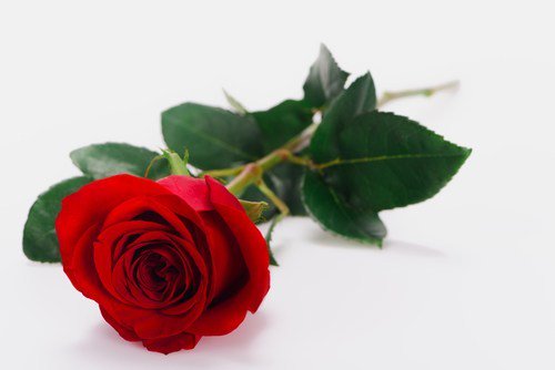 UrDivorceStory's tweet photo. The choice of a post-divorce name is self-affirming and part of the recovery process. #DivorceRecovery #maidenname #marriedname #divorce #family
https://t.co/2e6cviAhvh https://t.co/d7MarthshB