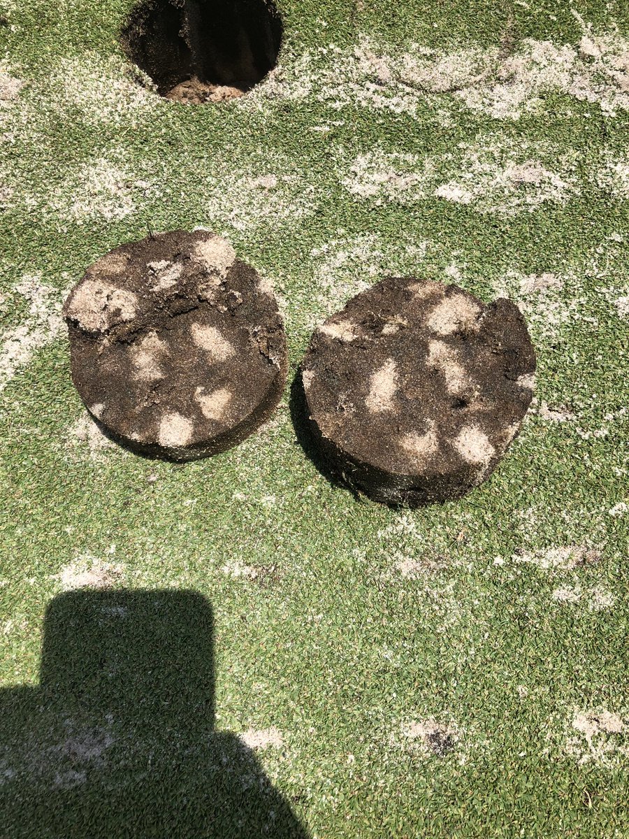 FESbarro's tweet image. Dryject over the years.      Incredible dilution of the biomass on Paspalum greens. Talis Park is dialed in as usual.