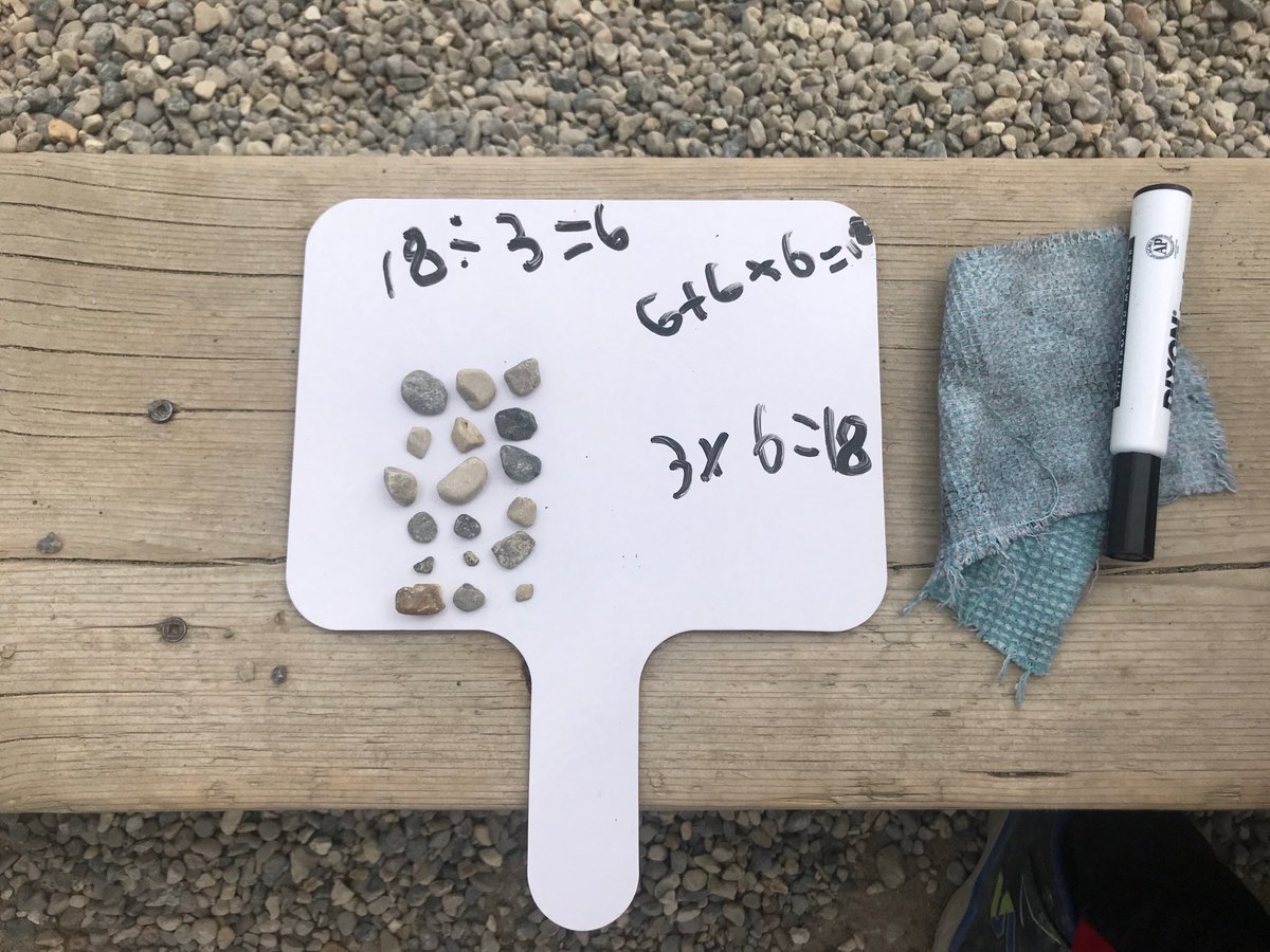 A beautiful day to use natural objects to build our arrays.