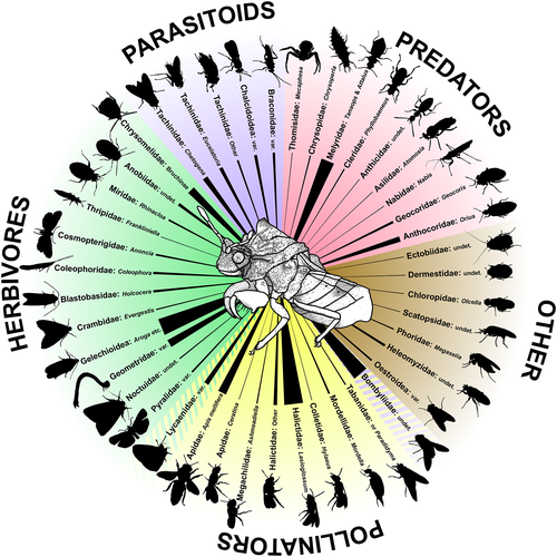 Ecosphere tweet media