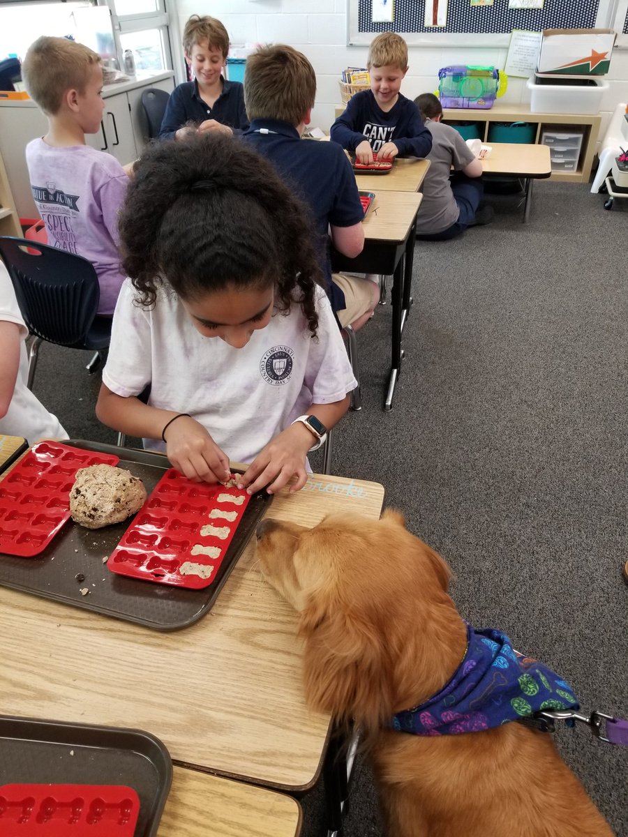 Tresnola's tweet image. Puppy heaven! Brewhaus dog bones.@CountryDay @CCDdreamteam #servicelearningday #engineeredforfun