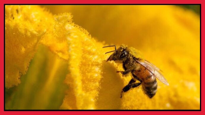 😢 

Today, some in the mainstream media may focus on the unimaginable speed and scale of our destruction of the world ecosystems.

I hope tomorrow - and many more tomorrows - we won’t forget, and will preserve our planet for the next generations. 

ow.ly/uQ8N30oEA25