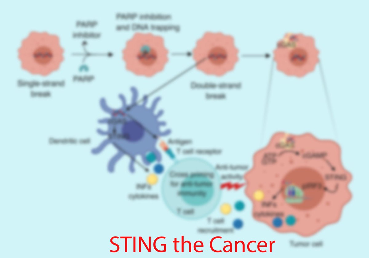 chasing_cancer's tweet photo. New post coming up tomorrow 🙌🏻
Check it out to learn how to STING the cancer 🐝 https://t.co/3Bj1Qitj9e