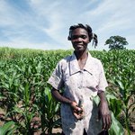 Image for the Tweet beginning: "Every sack in this gigantic