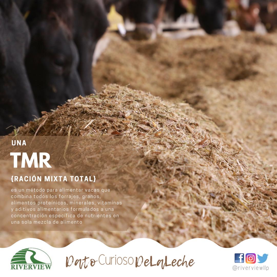 #datocuriosodelaleche
#nutricióndelavaca
#camióndealimentación