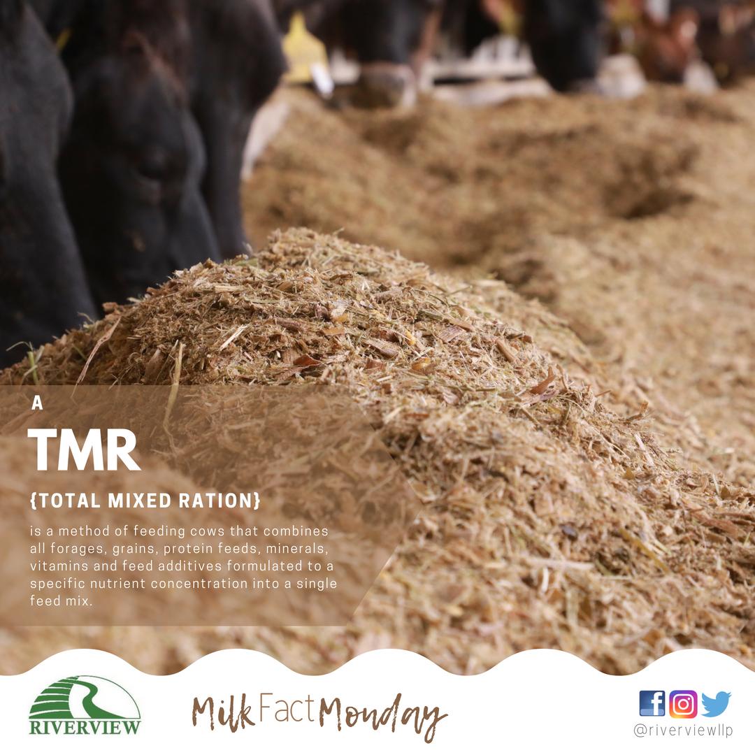 #milkfactmonday
#cownutrition
#TMR
#feedtruck